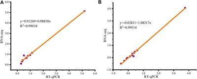 RNA-seq and qRT-PCR analyses reveal the physiological response to acute hypoxia and reoxygenation in Epinephelus coioides